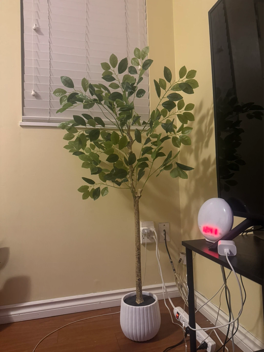 Artificial Ficus Tree in White Pot