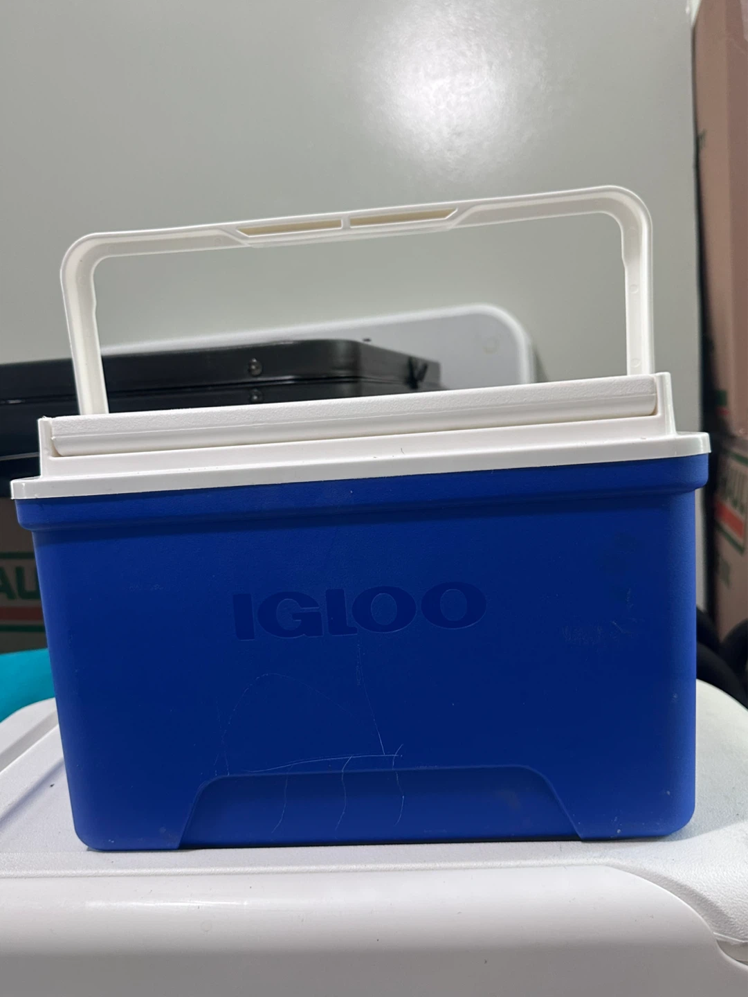 Igloo Blue Cooler Lunch Box
