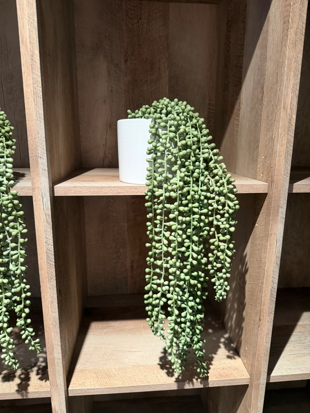 Artificial String of Pearls Plant - photo 4