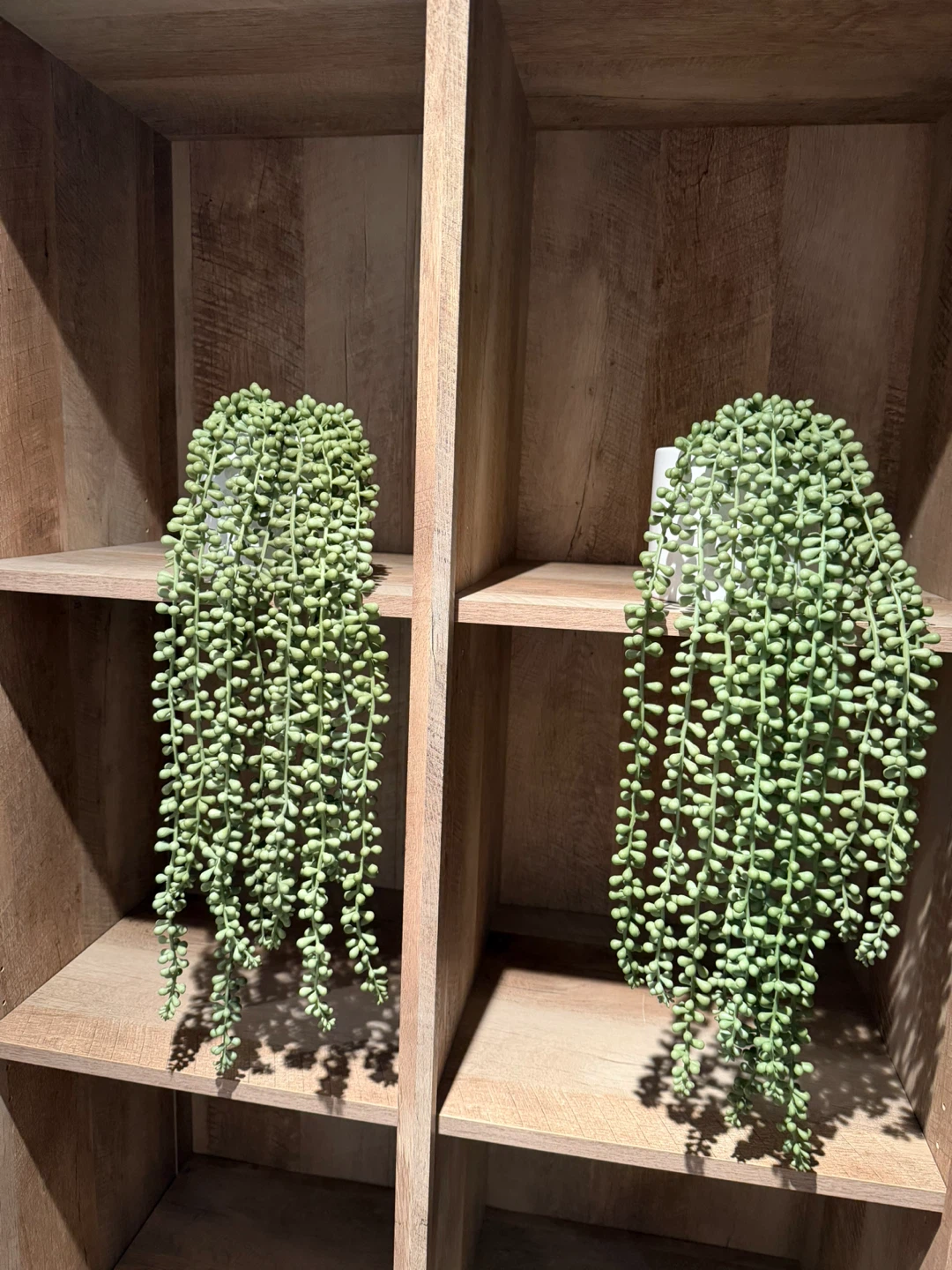 Artificial String of Pearls Plant - photo 3