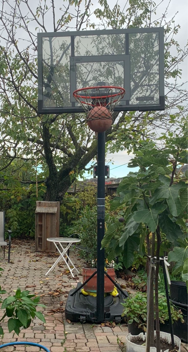 Portable Basketball Hoop and Ball