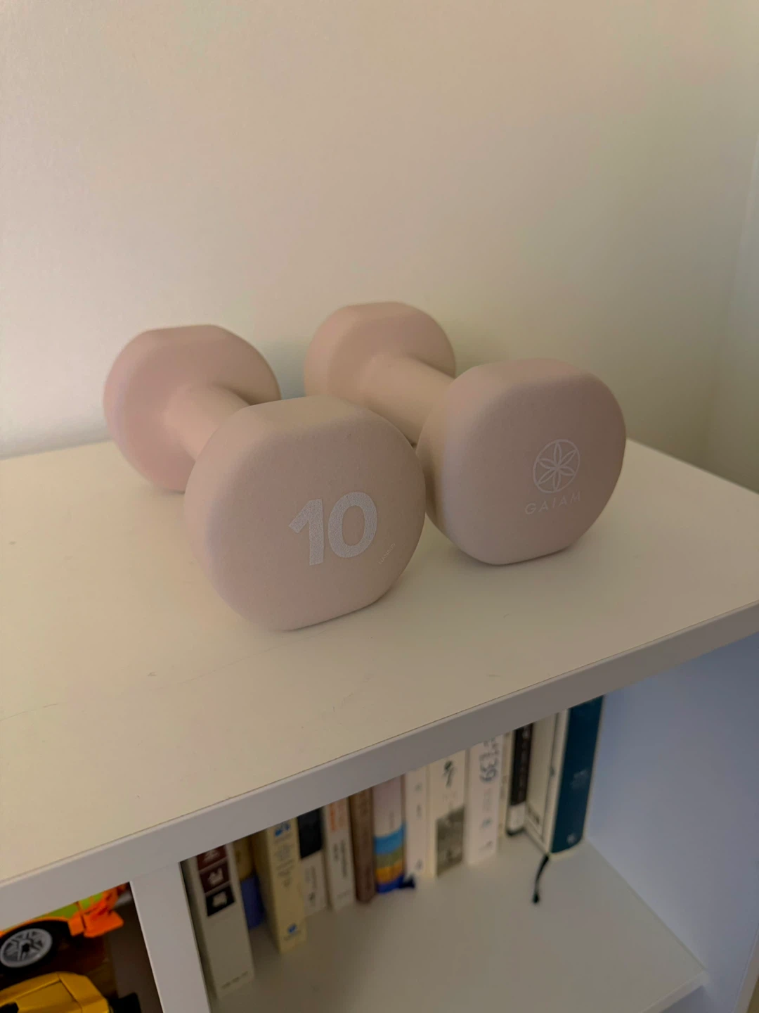 Gaiam 10lb Dumbbell