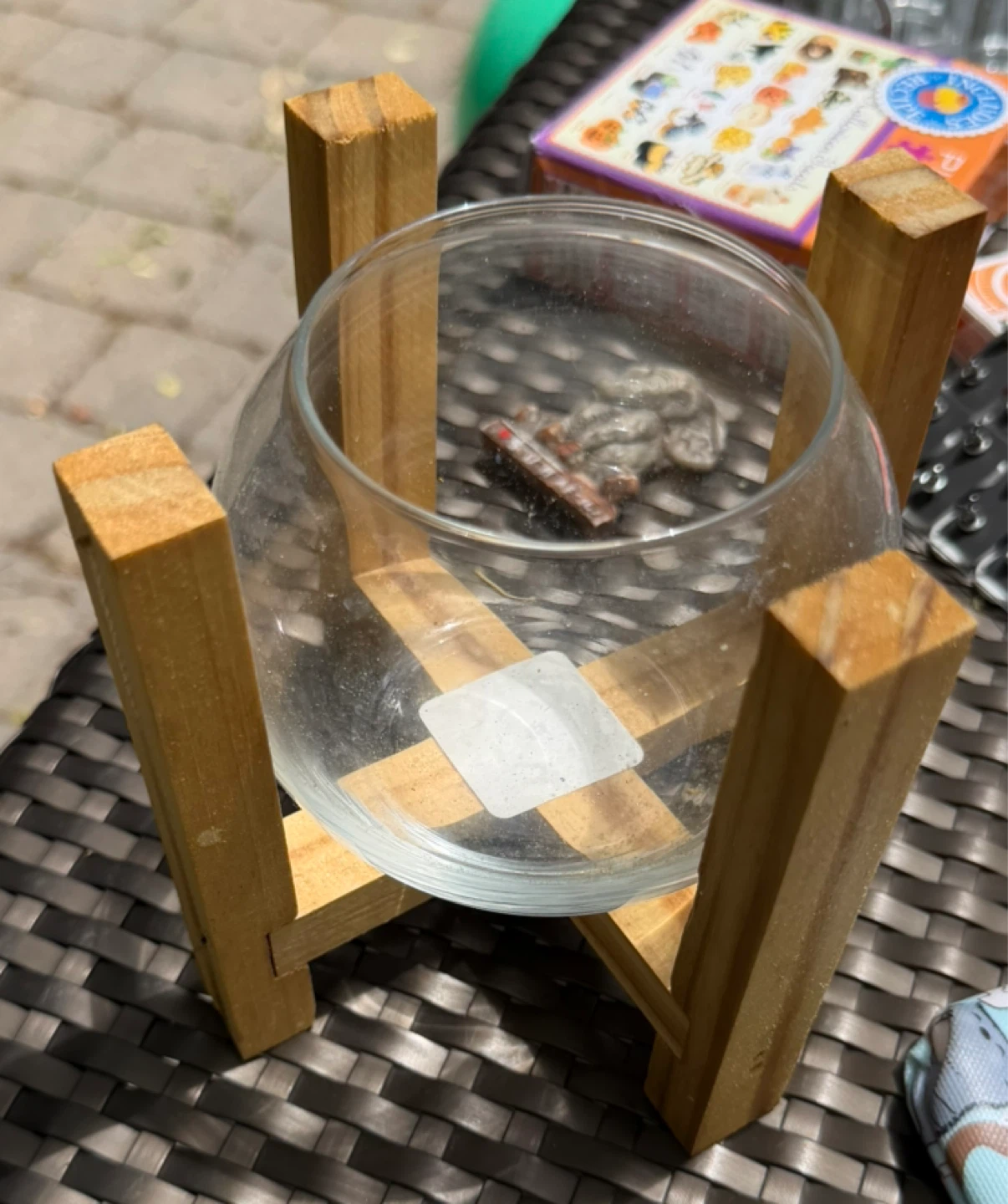 Glass Terrarium/Bowl with Wooden Stand