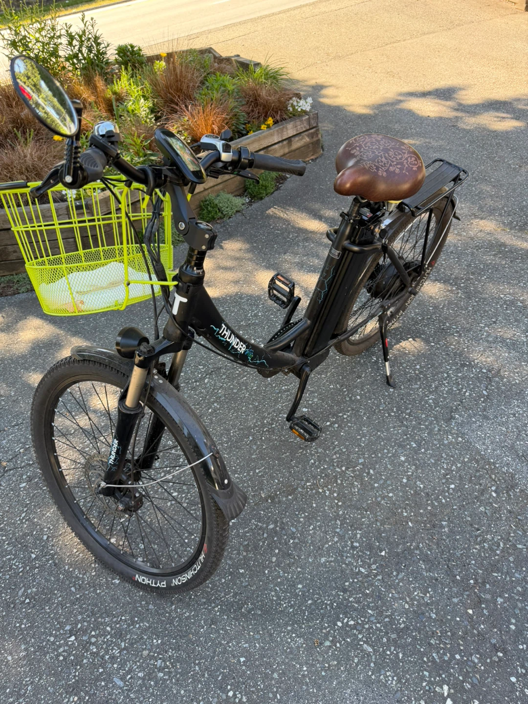 Thunder Electric Bike - photo 2