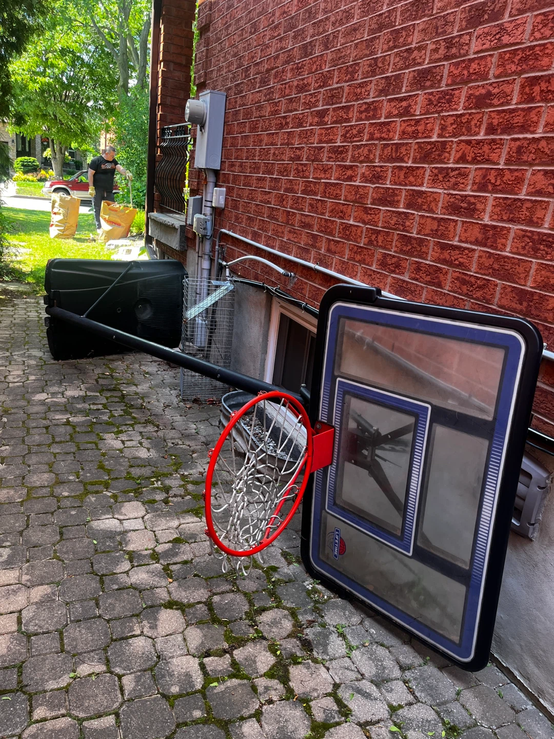 Lifetime Basketball Hoop Backboard and Rim