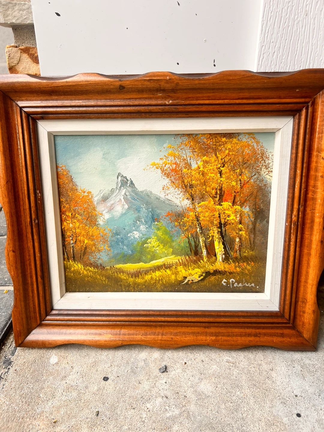 Framed Oil Painting - Mountain and Lake Scenes