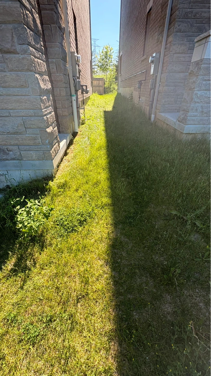 I’ll mow your lawn