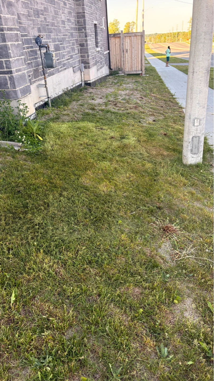 I’ll mow your lawn - photo 4