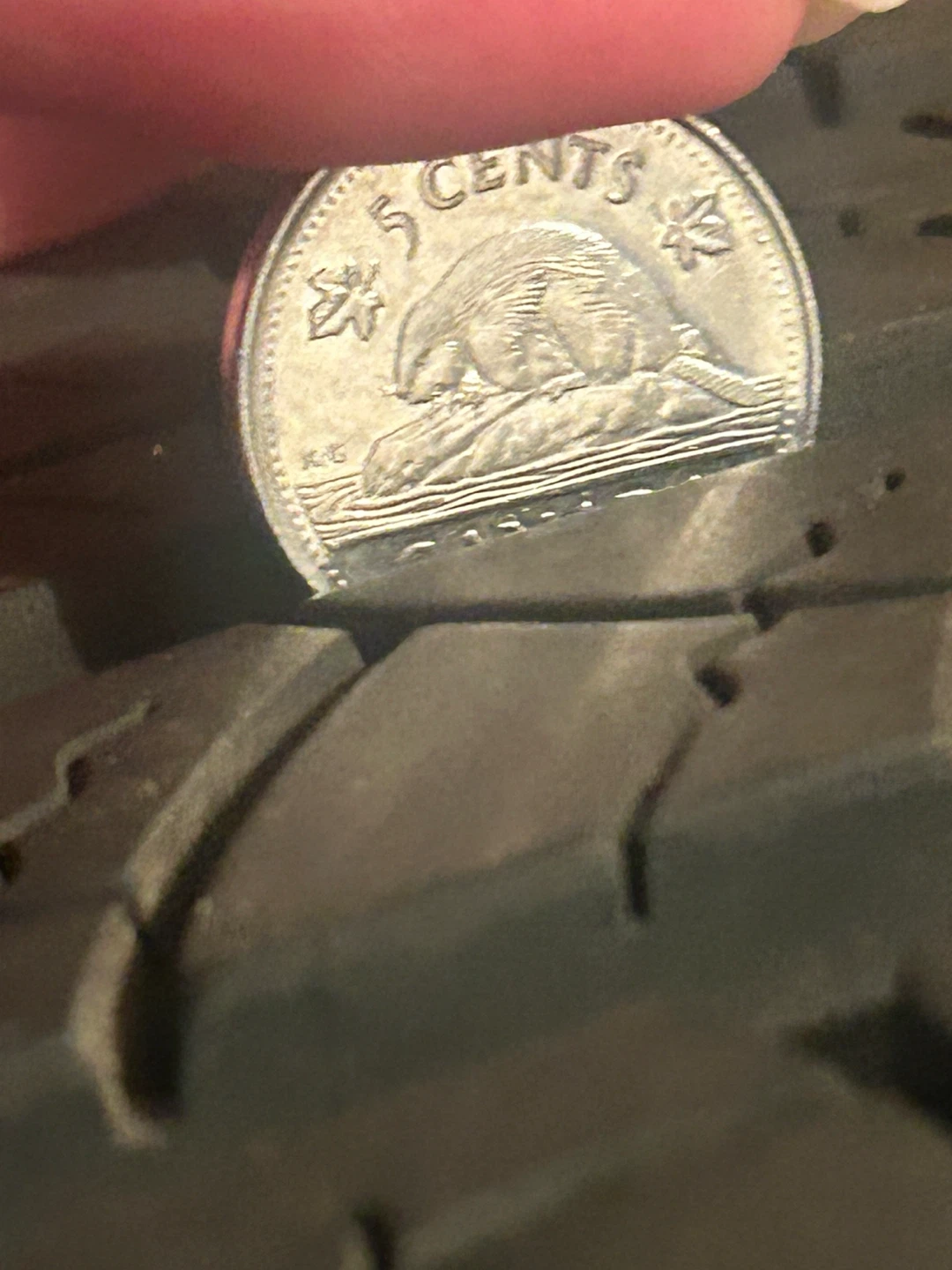 Michelin P225/65R17 Tire - photo 3