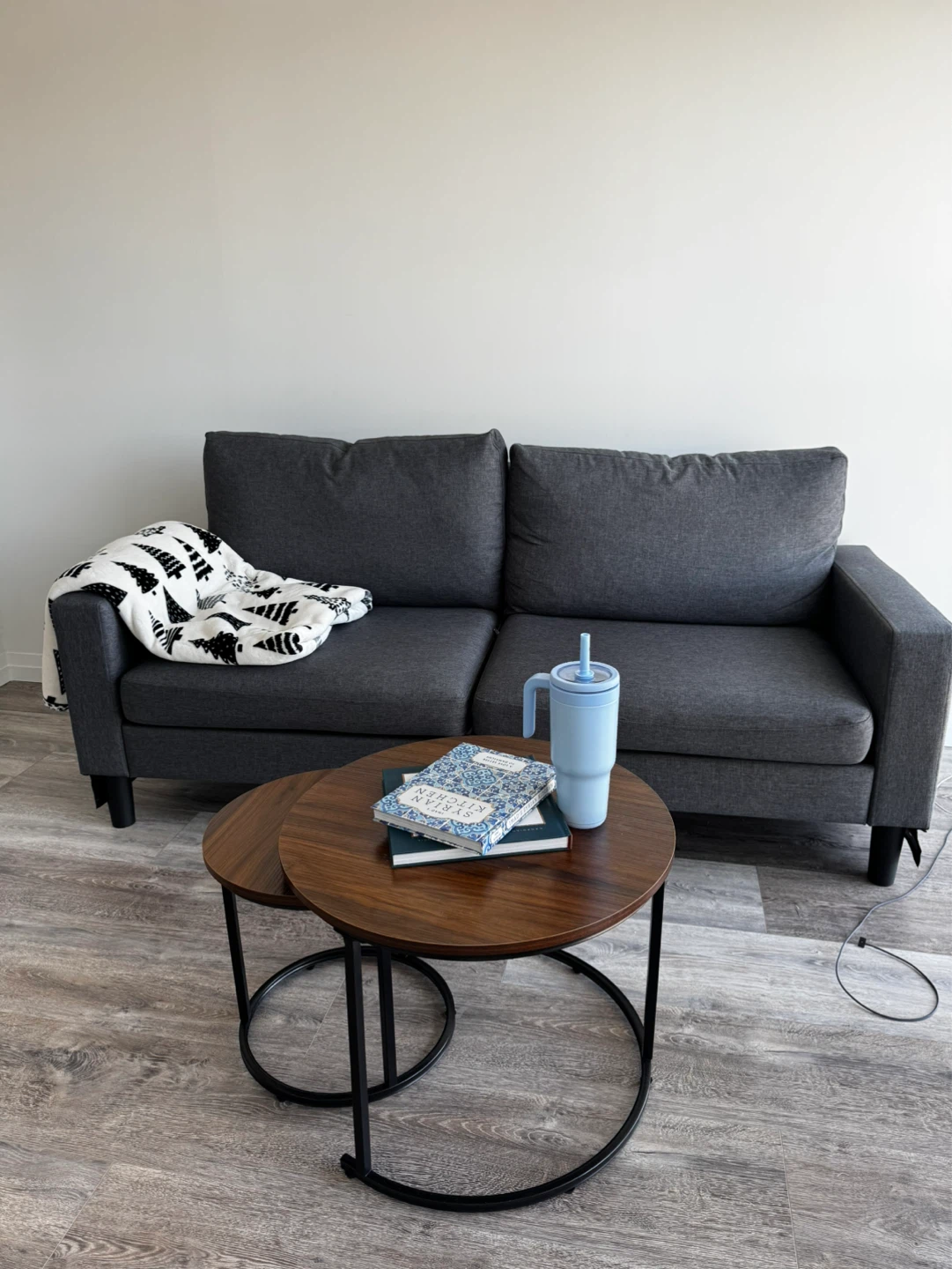 Gray Sofa