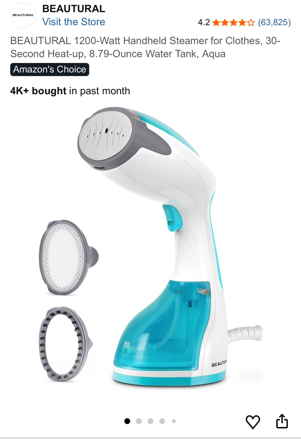 Handheld Steamer