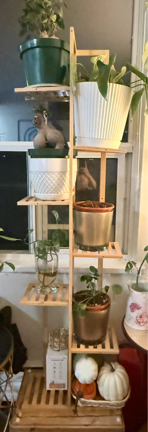 Wooden Plant Stand - photo 2