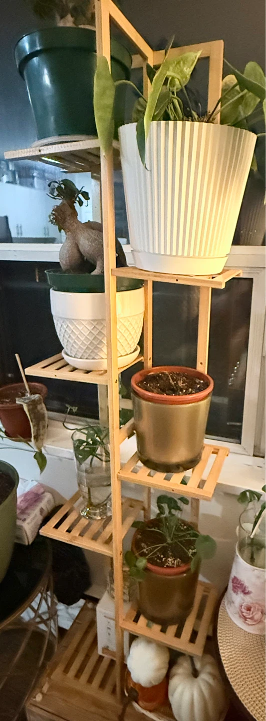 Wooden Plant Stand