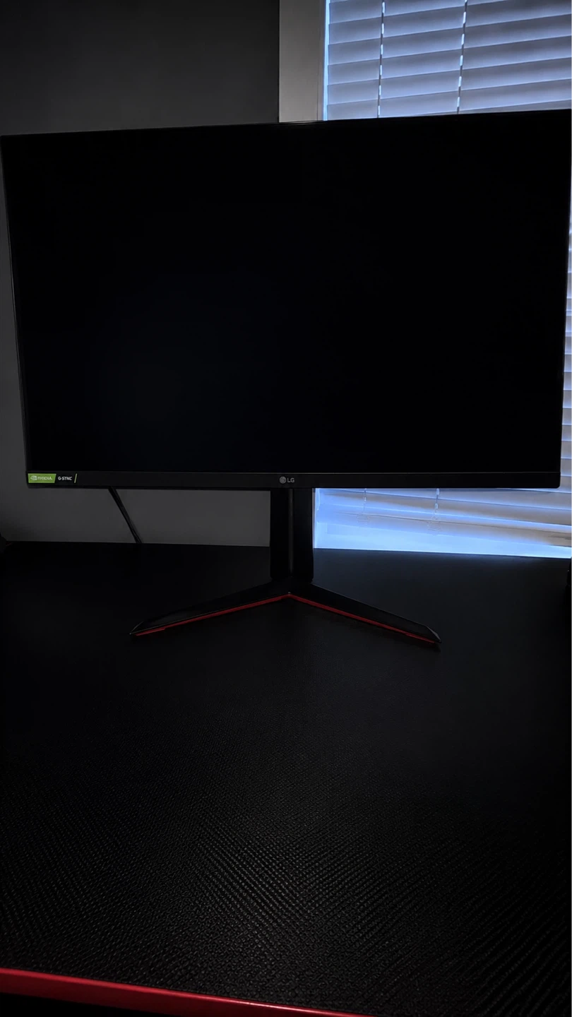 LG Gaming Monitor