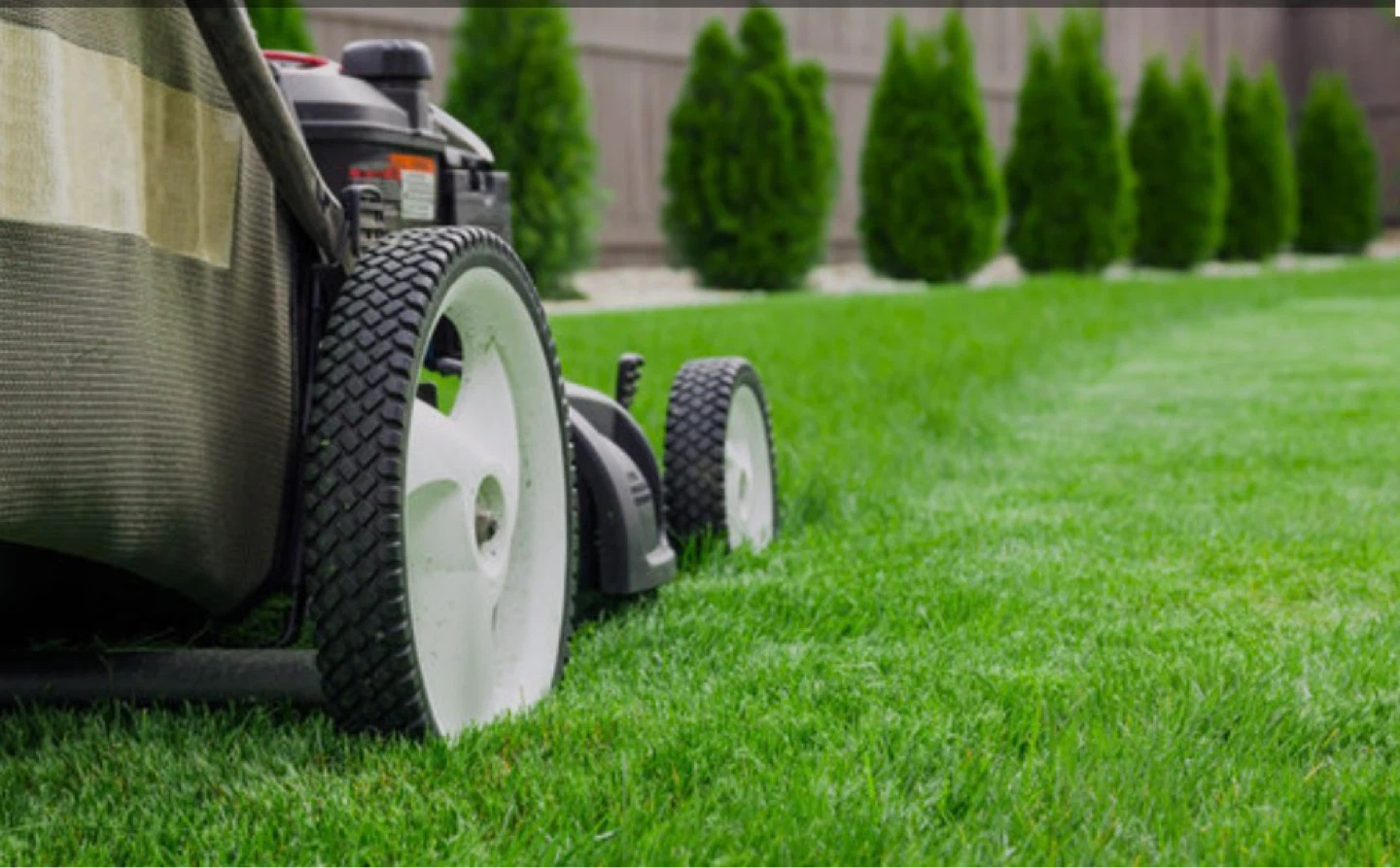 Yard Rescue Pro Lawn Mower - photo 4