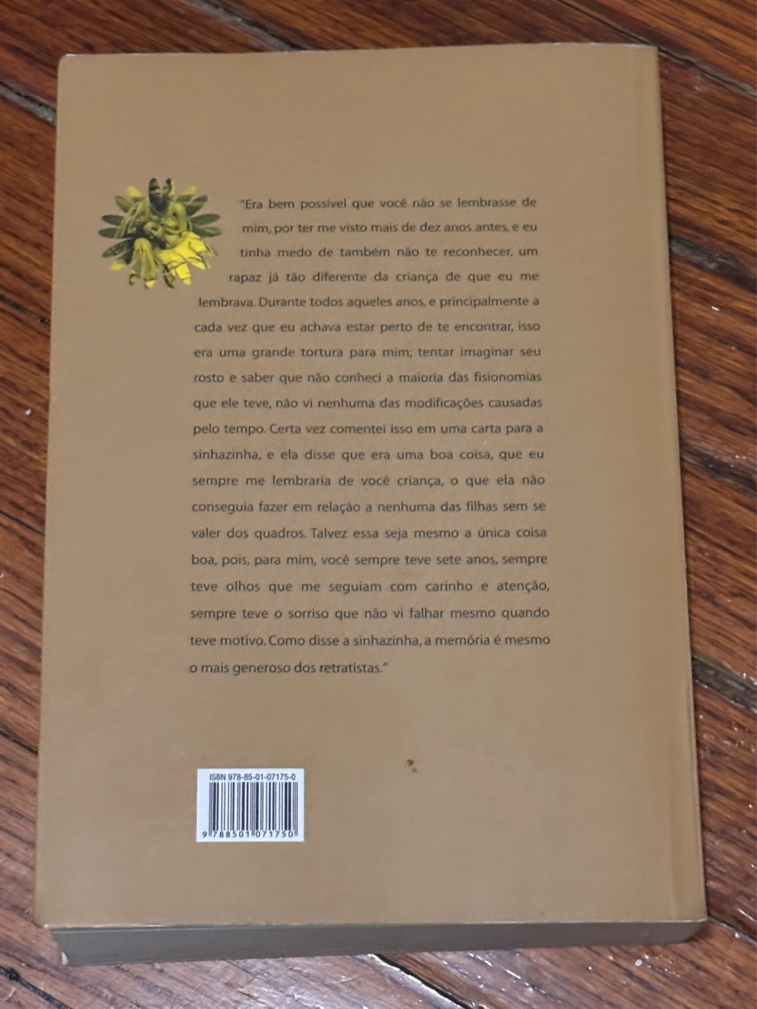 Um Defeito de Cor by Ana Maria Gonçalves (Romance) - photo 2