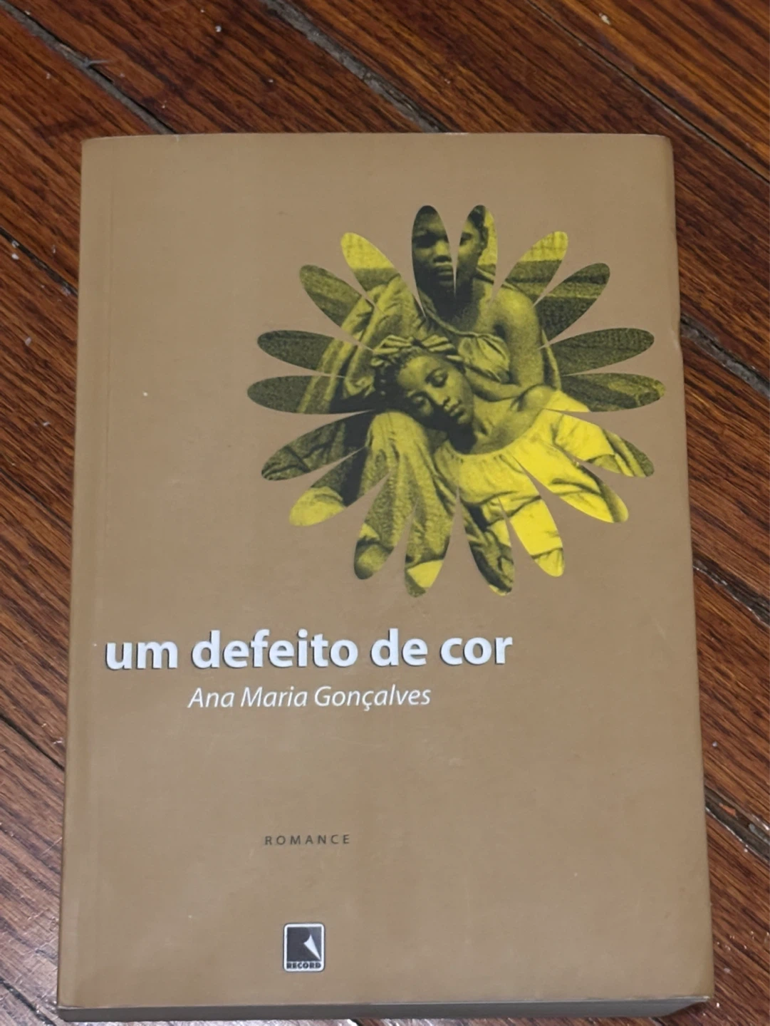 Um Defeito de Cor by Ana Maria Gonçalves (Romance)