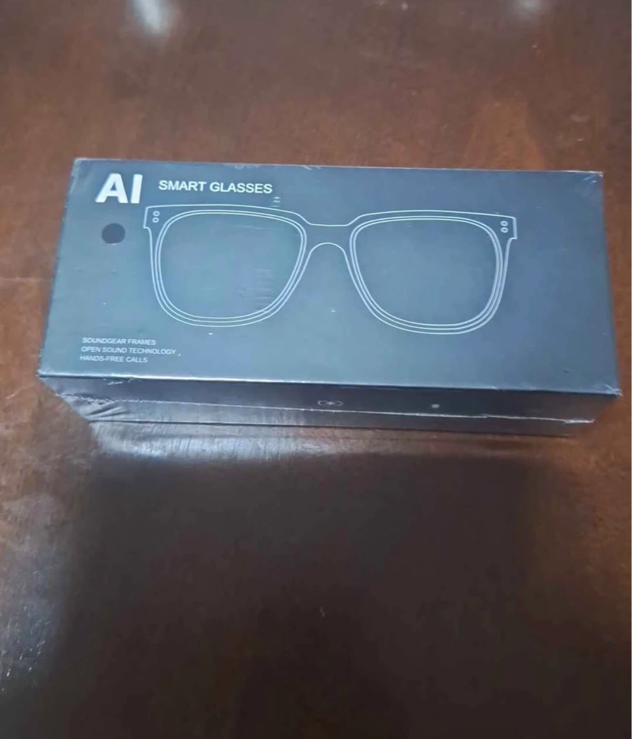 AI Smart Glasses