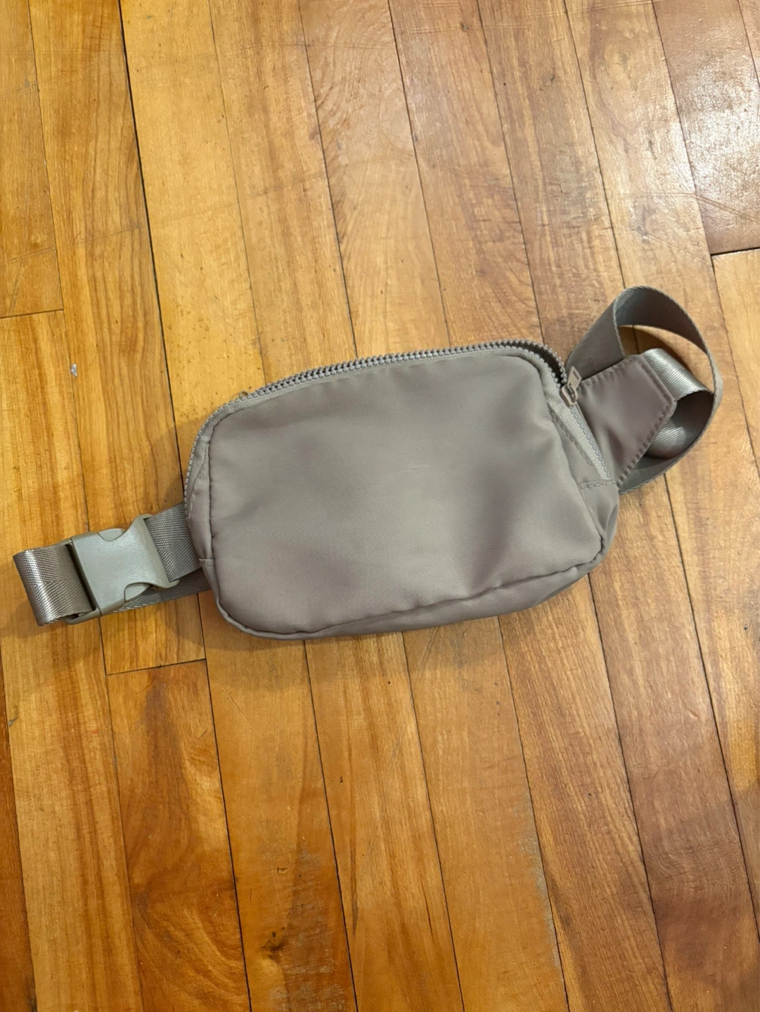 Tagalong Belt Bag