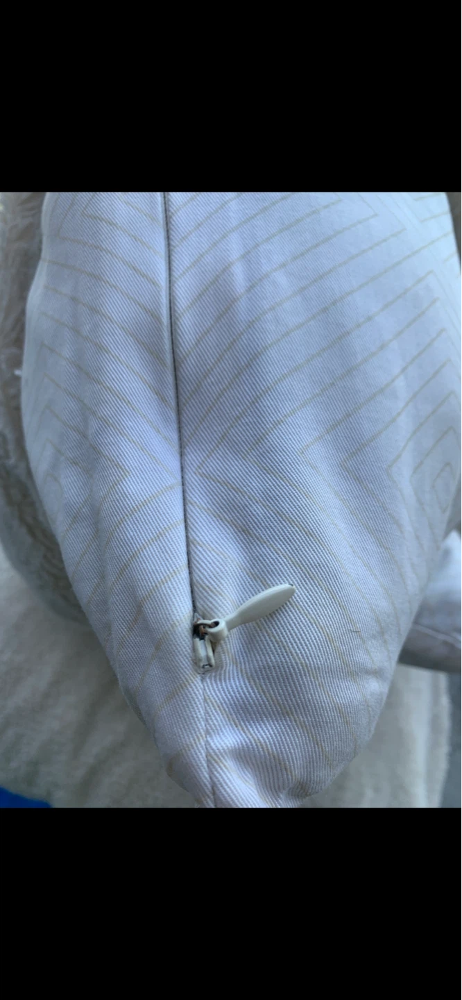 Set of 2 Feathers Cushions w/ Free Extra Sets of Cushions Covers - photo 3