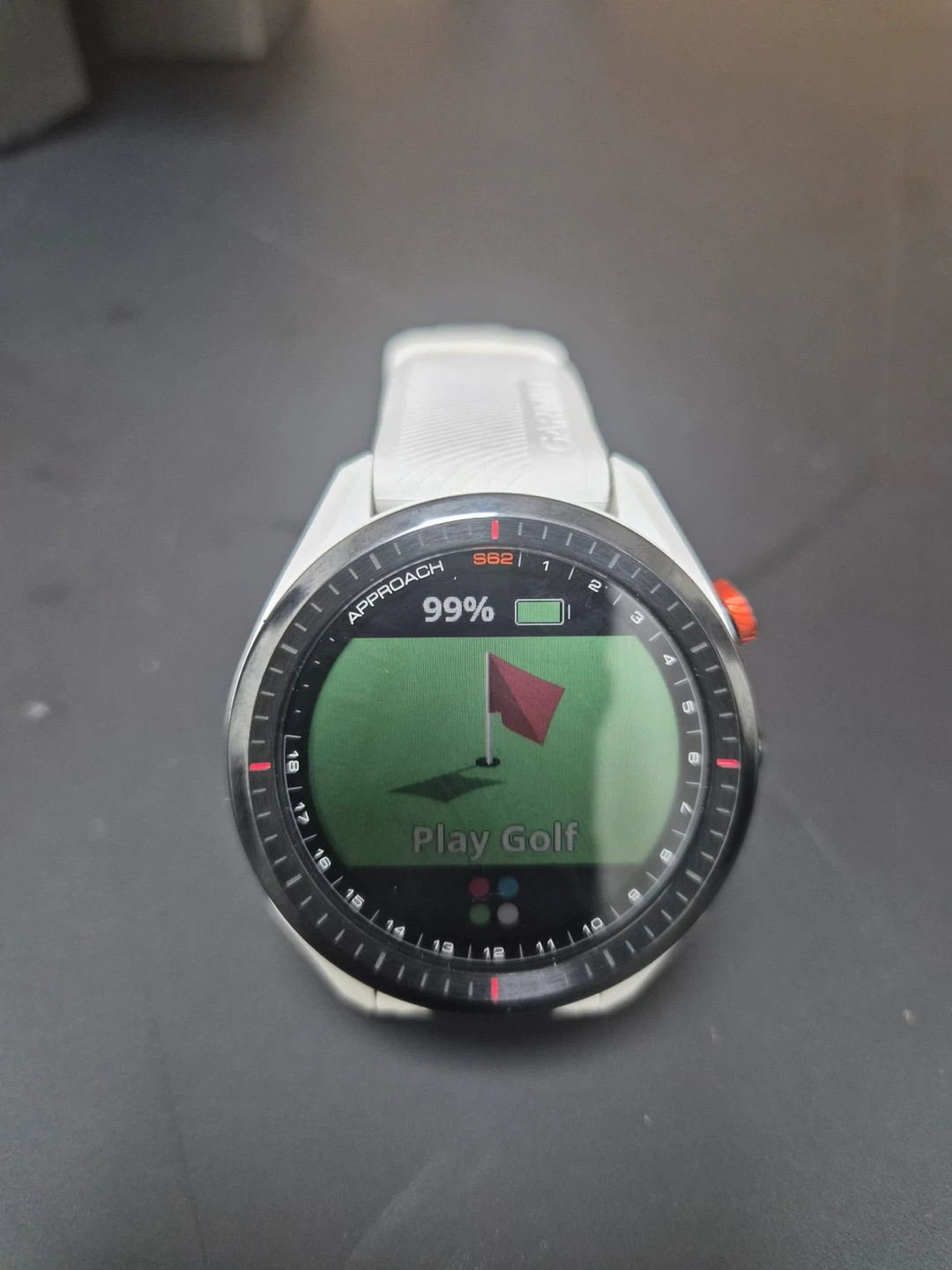 Garmin Approach S62 Premium GPS Golf Watch