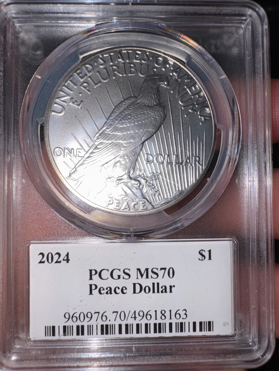 PCGS MS70 2024 Peace Dollar - photo 2
