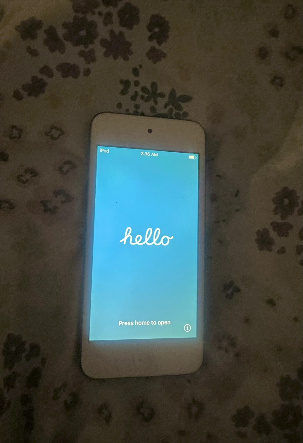 Blue Apple iPod Touch - photo 2