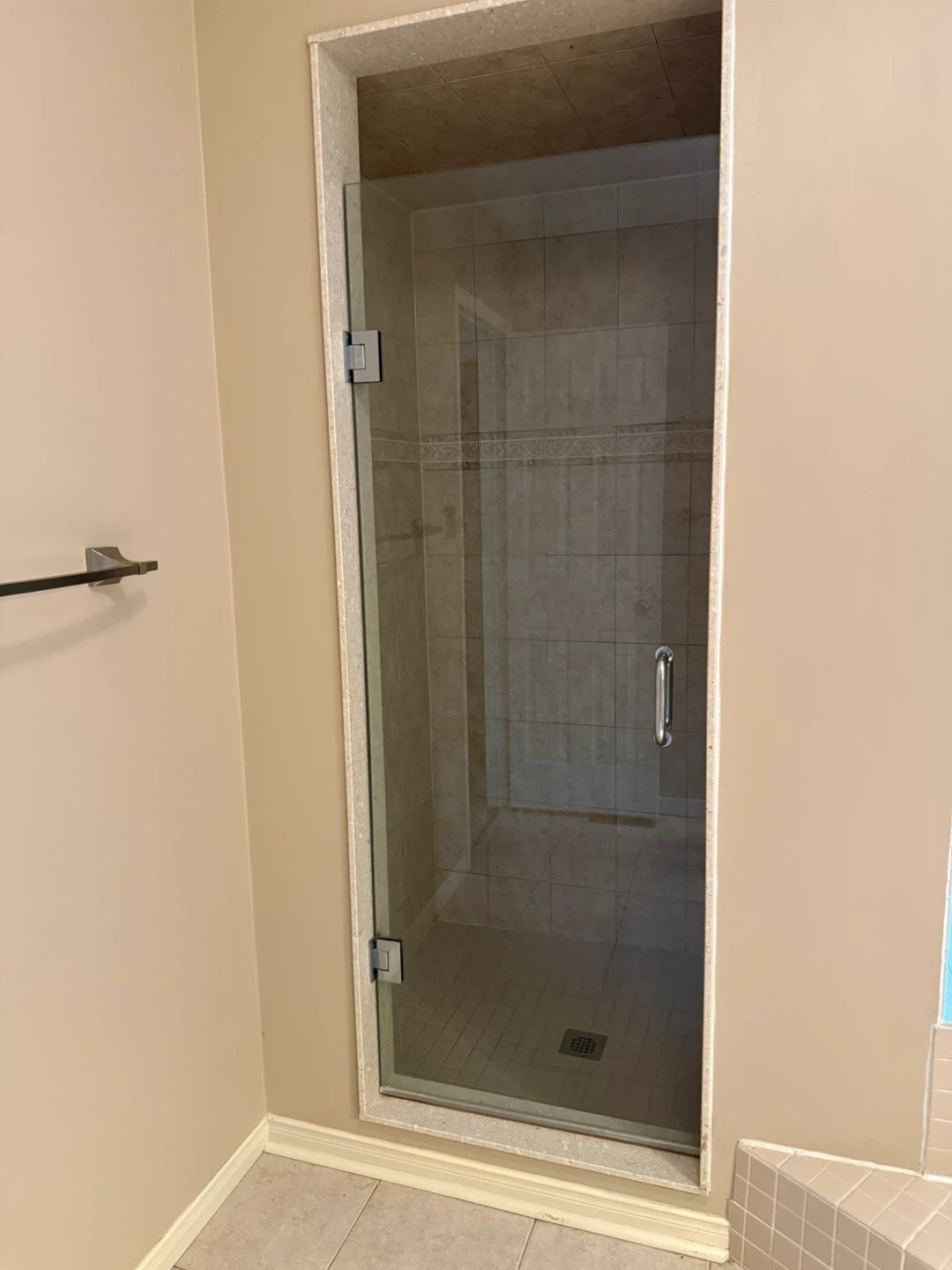 Glass Shower Door