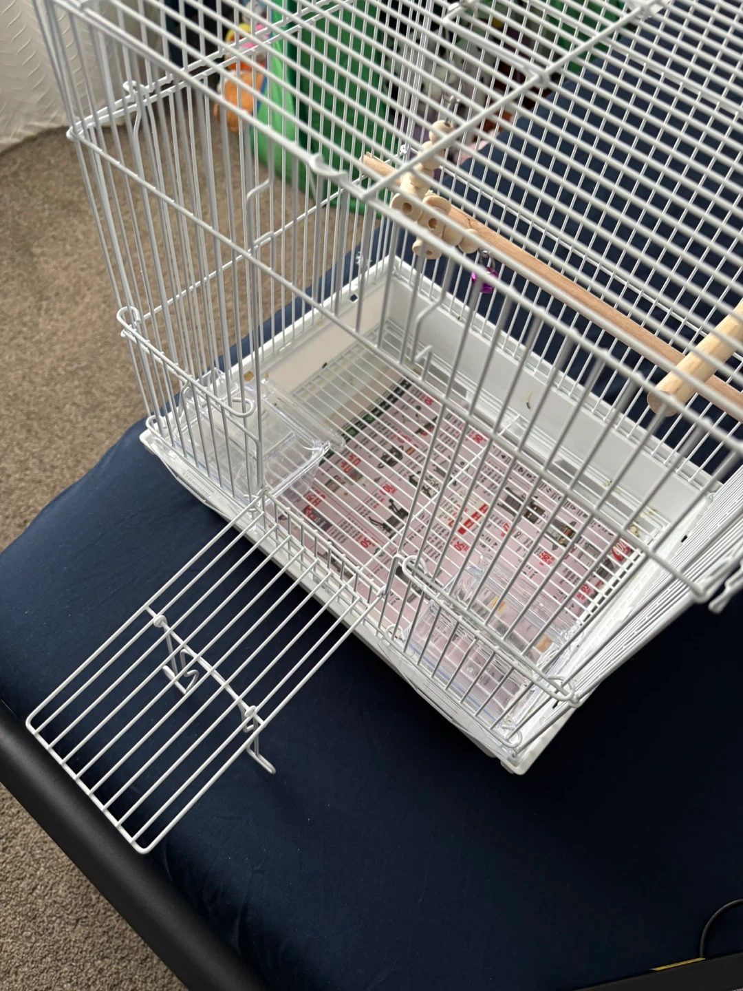 White Bird Cage with Perches