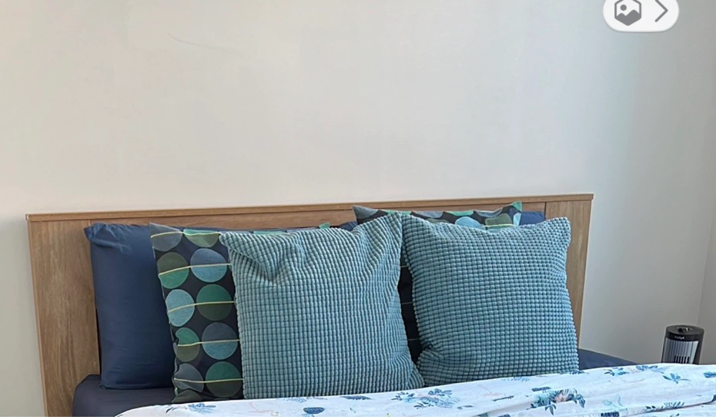 8 pillows  - with cover - photo 2
