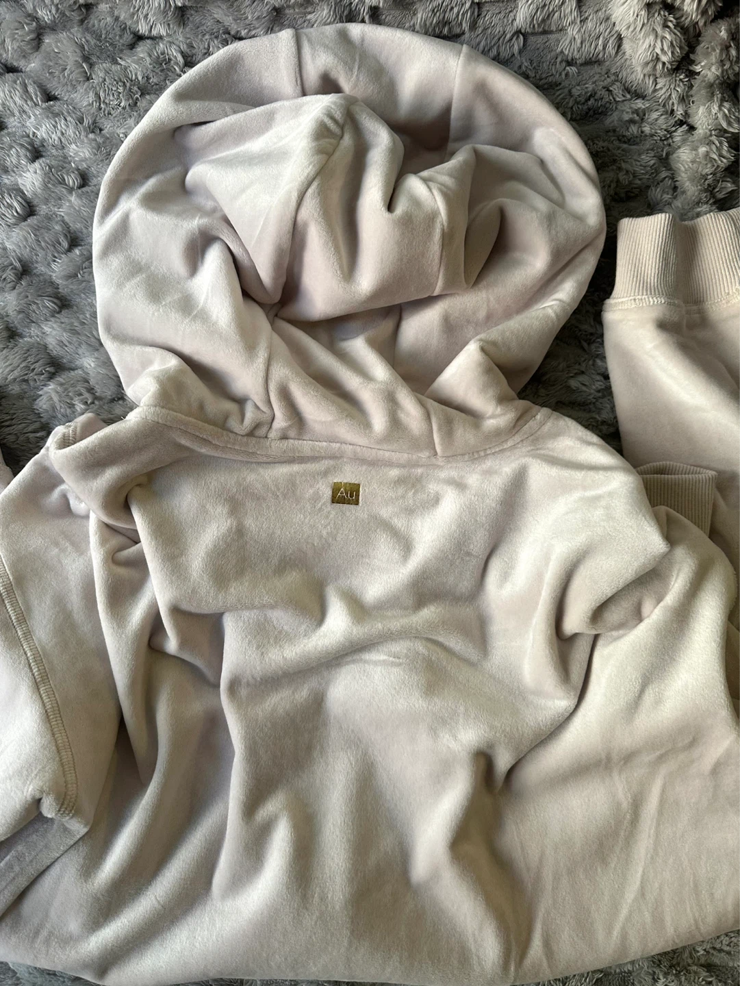 Aurum Velour Zip-Up Hoodie, never worn