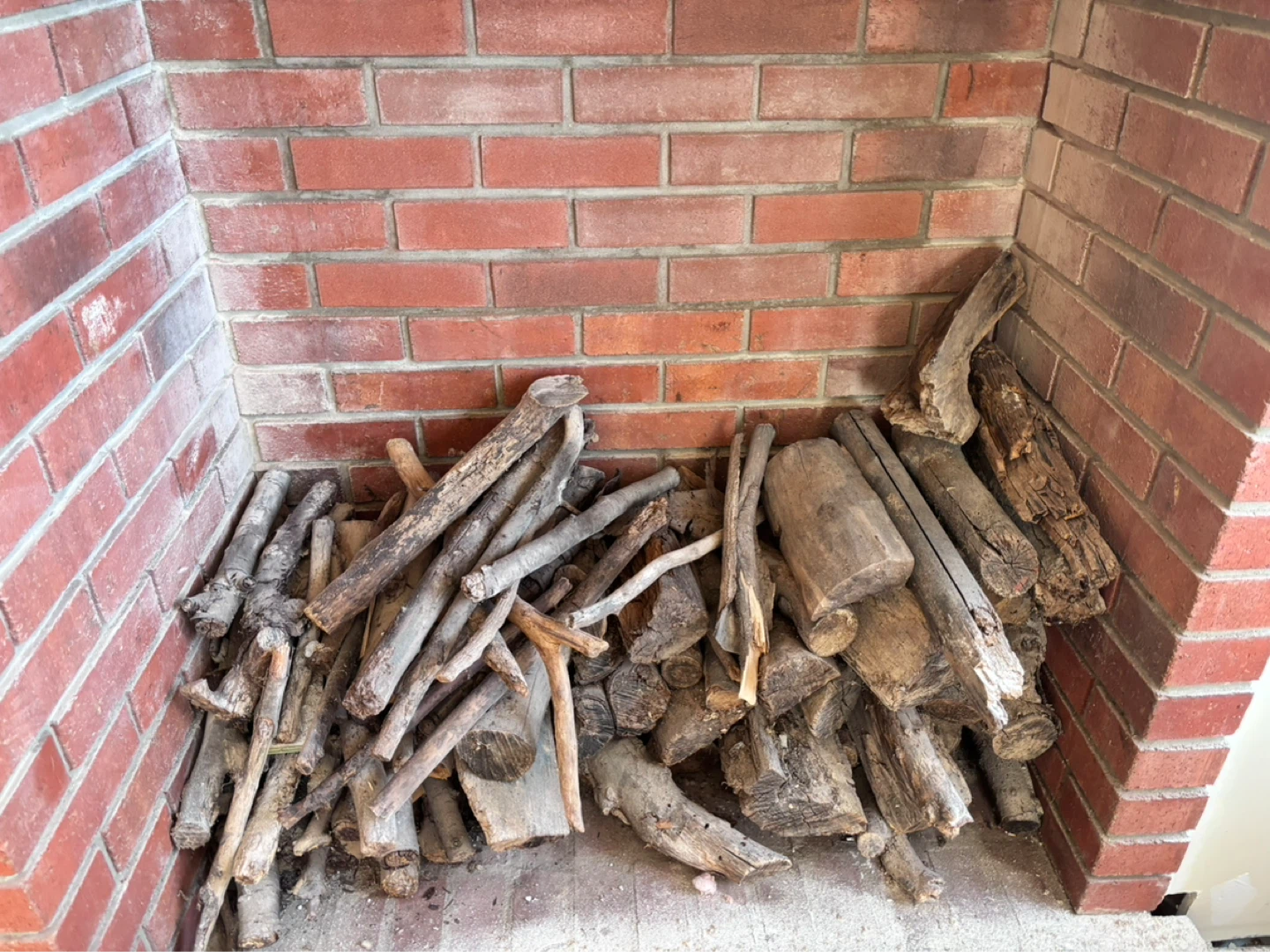 Assorted firewood for fireplace
