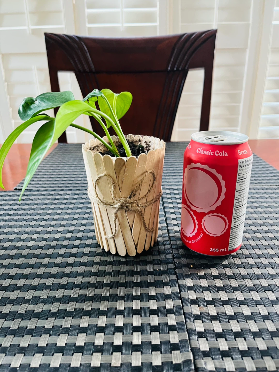 PLANT SET: Pothos (Money Plant) and Tradescantia Zebrina - photo 3