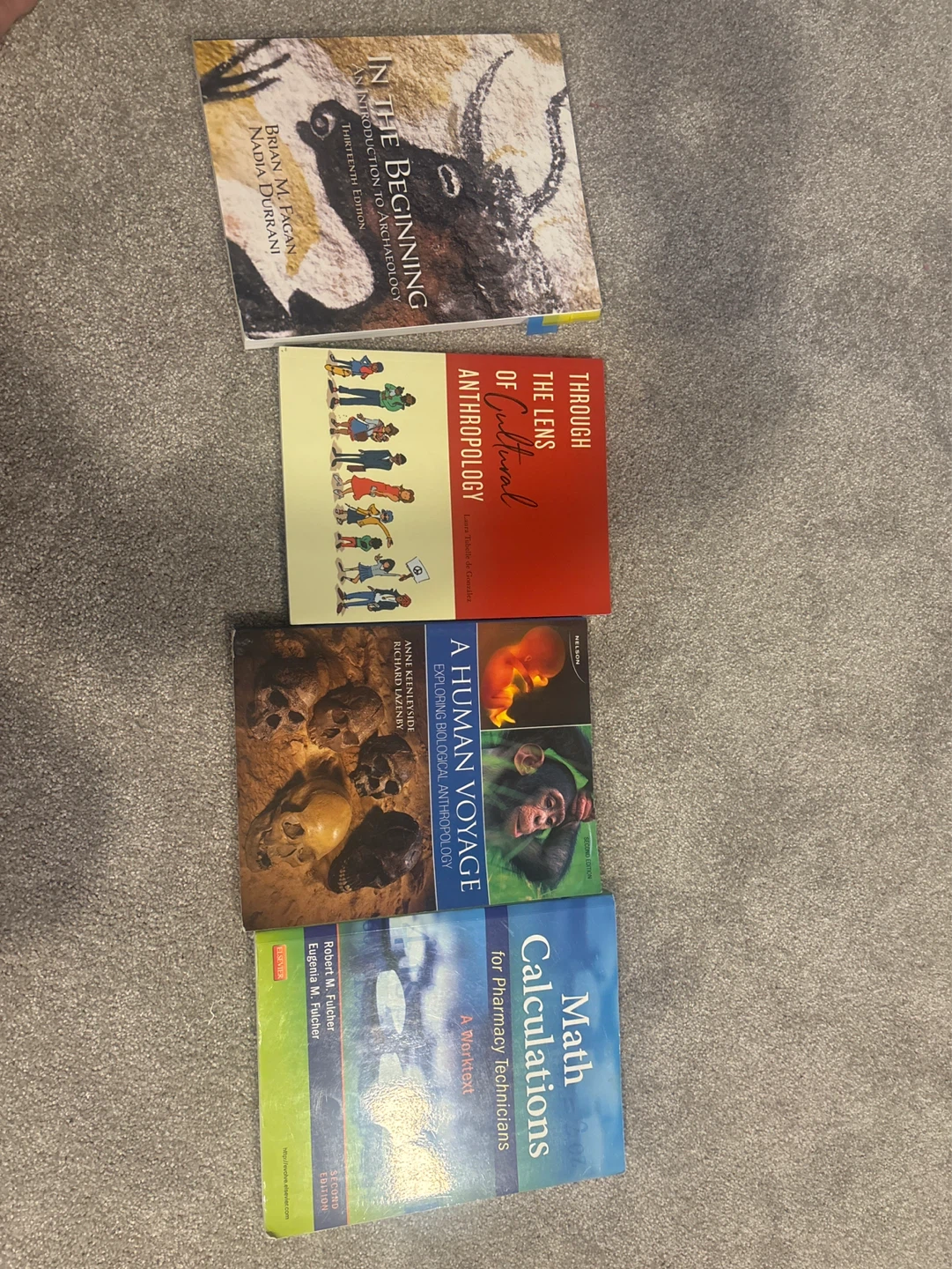Bundle of 4 Anthropology and Math Textbooks