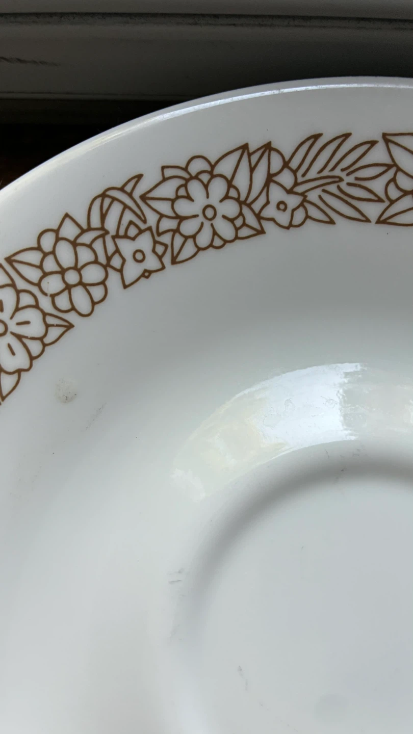 $3 saucers Corelle Woodland Brown Flower & morning Blue plates - photo 4