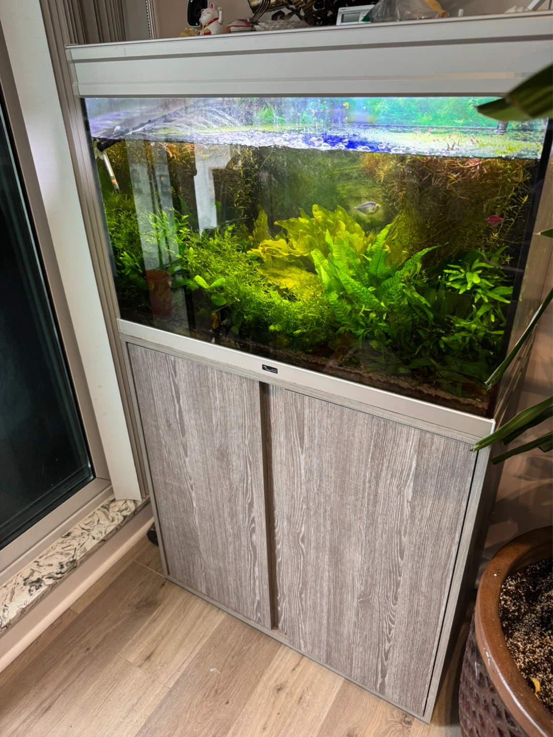 EHEIM Aquarium with Filter & Accessories - photo 2