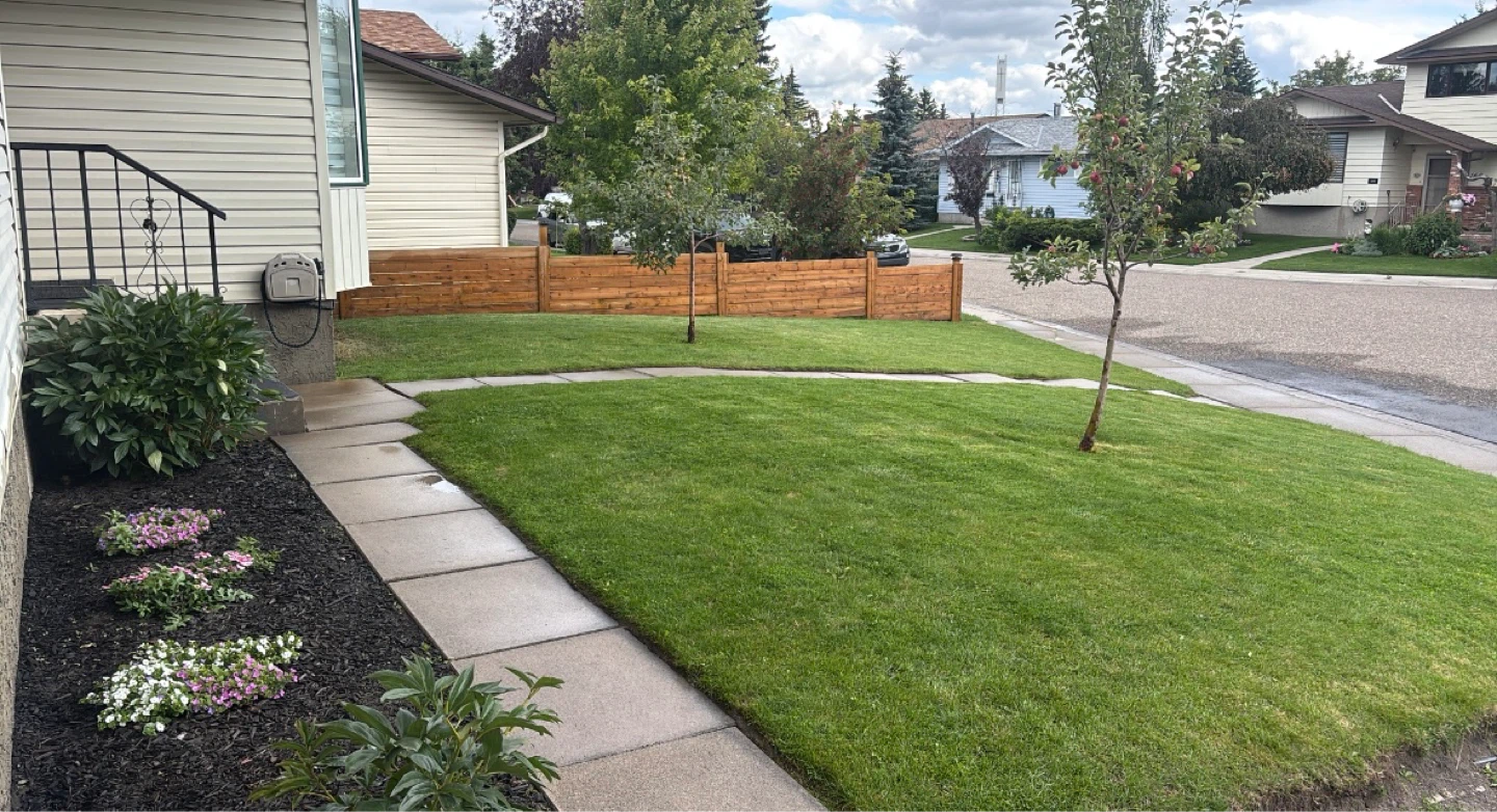 Grass Cutting services