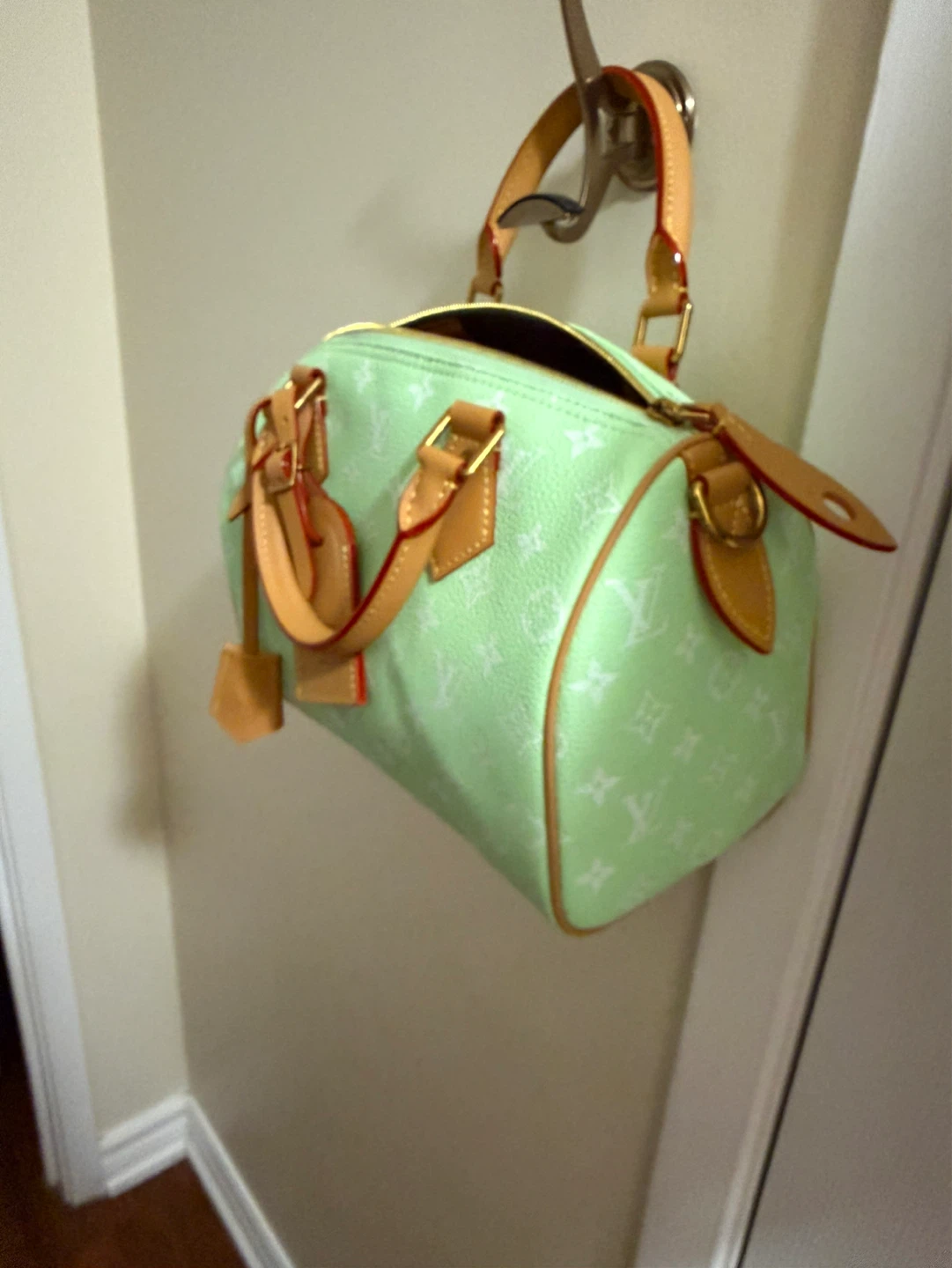LV GREEN SPEEDY 25 cm  Must buy - photo 3