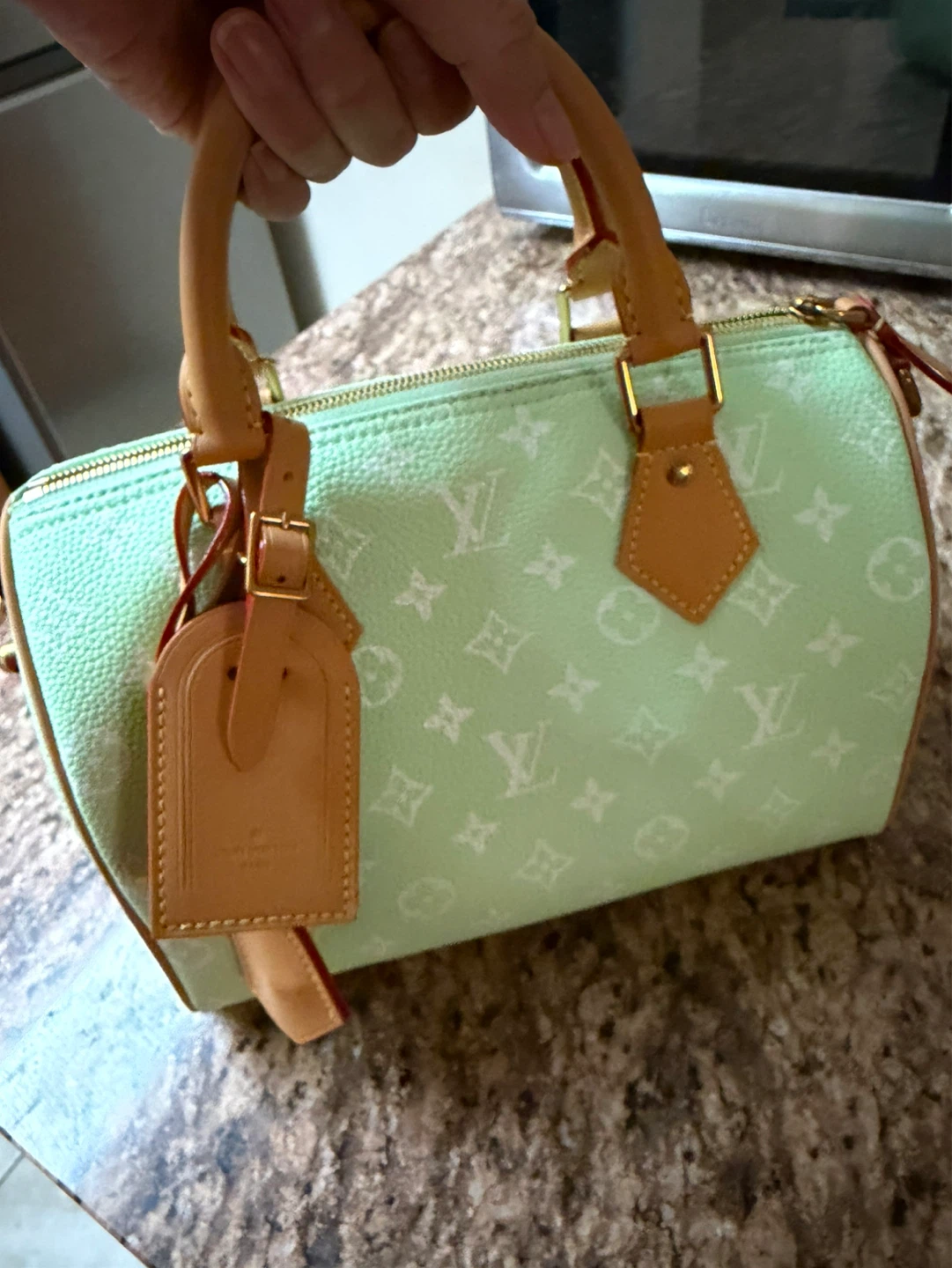 LV GREEN SPEEDY 25 cm  Must buy