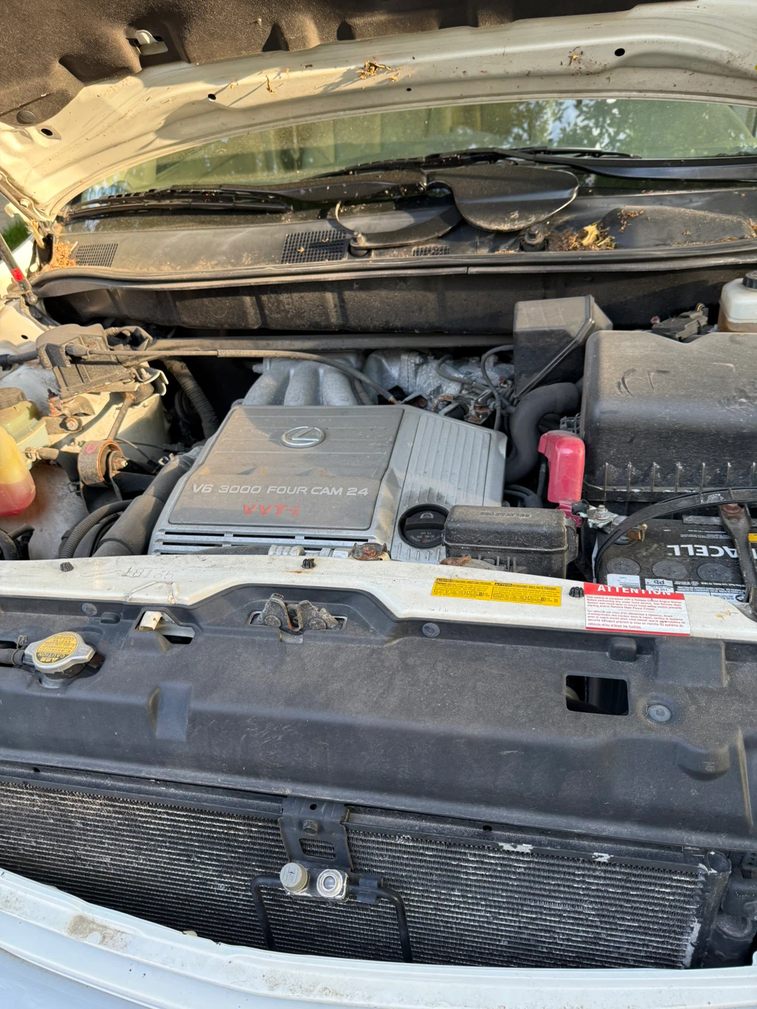 2001 Lexus RX 300 White SUV - photo 3