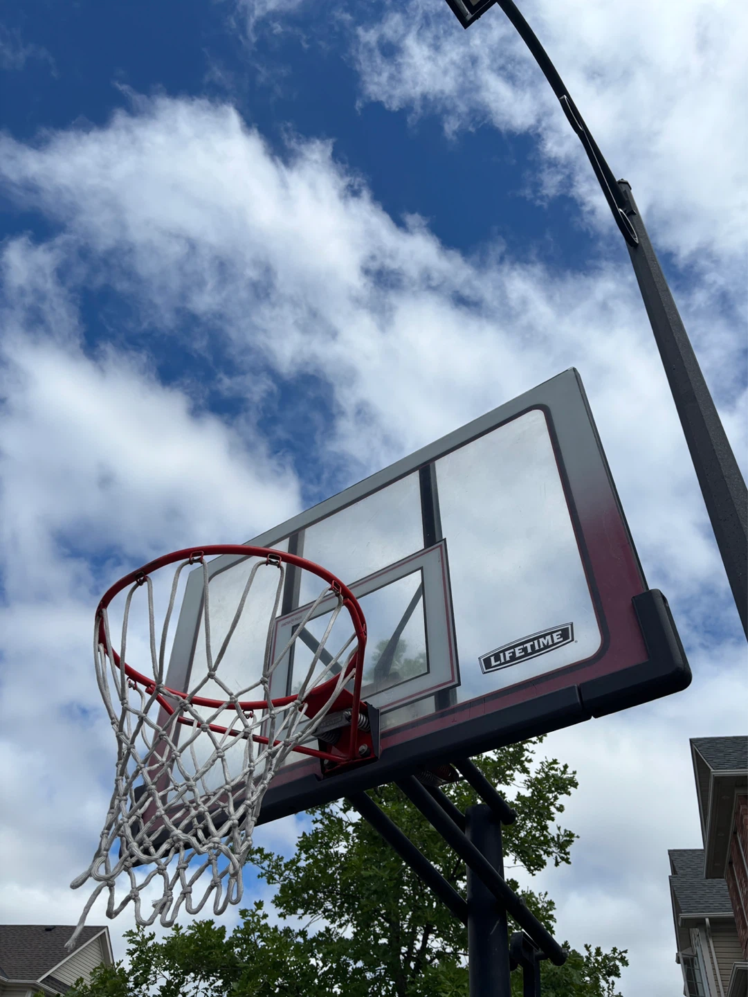 Lifetime Basketball Hoop