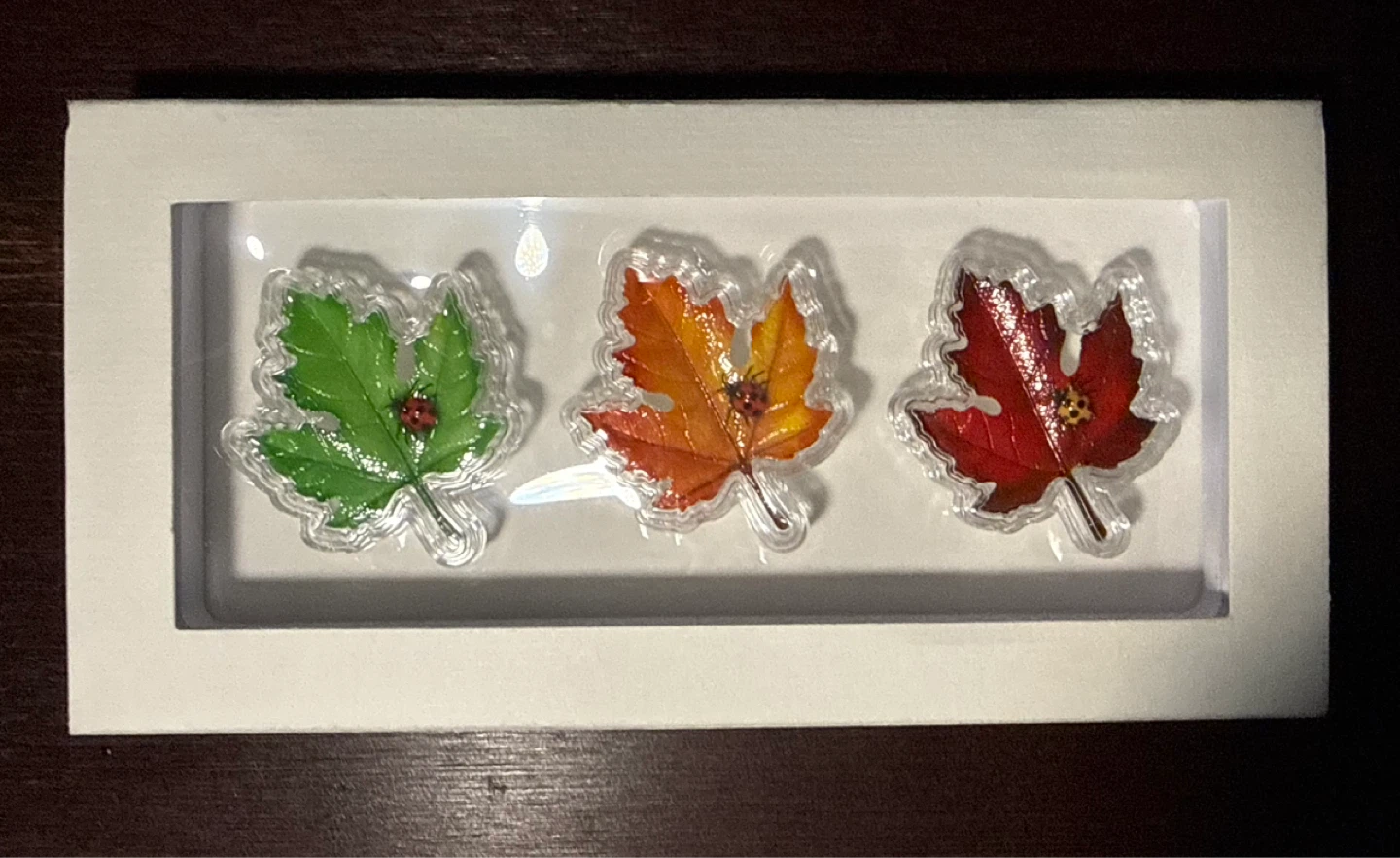 2025 Leaves of Color Collection