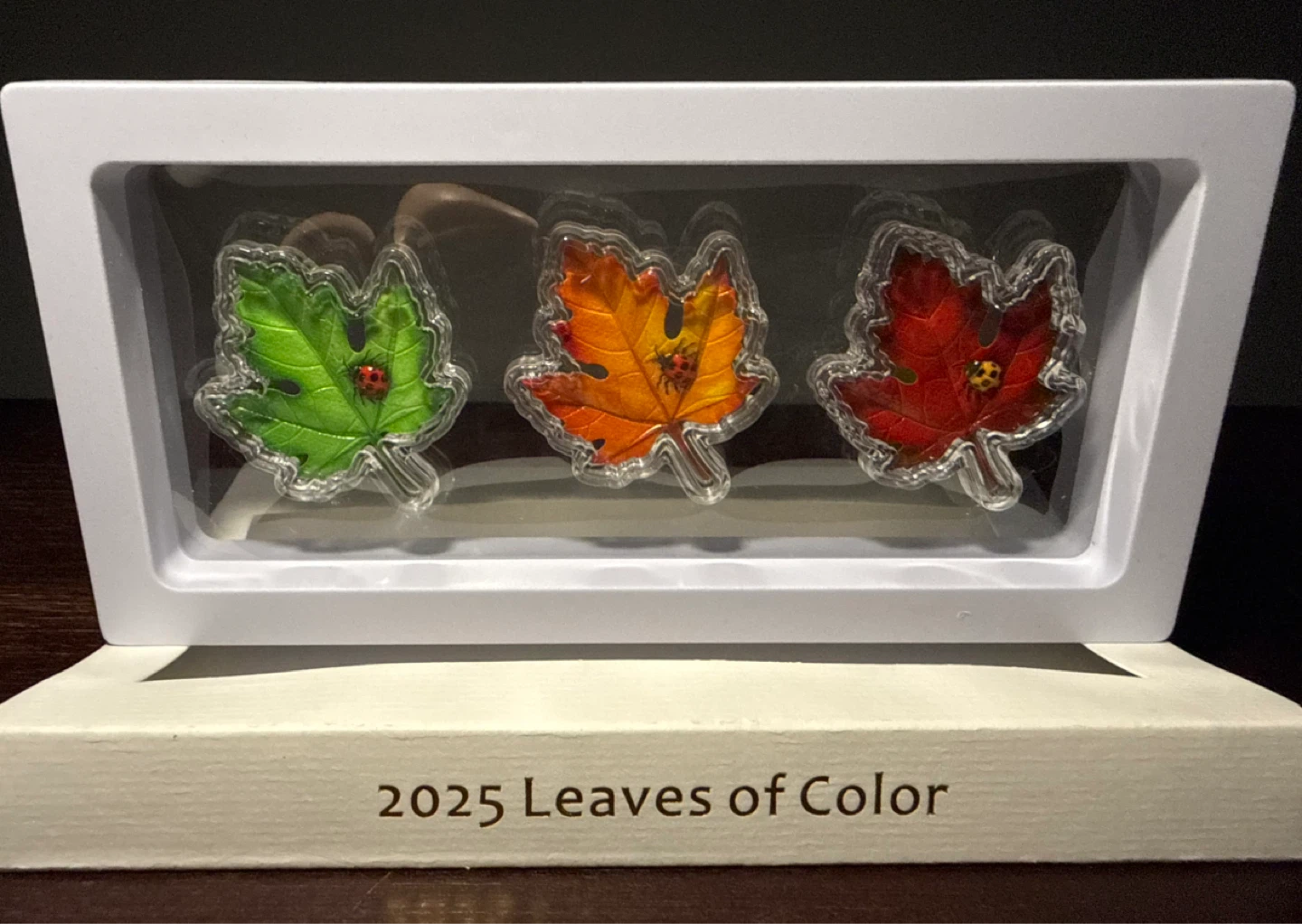 2025 Leaves of Color Collection - photo 2