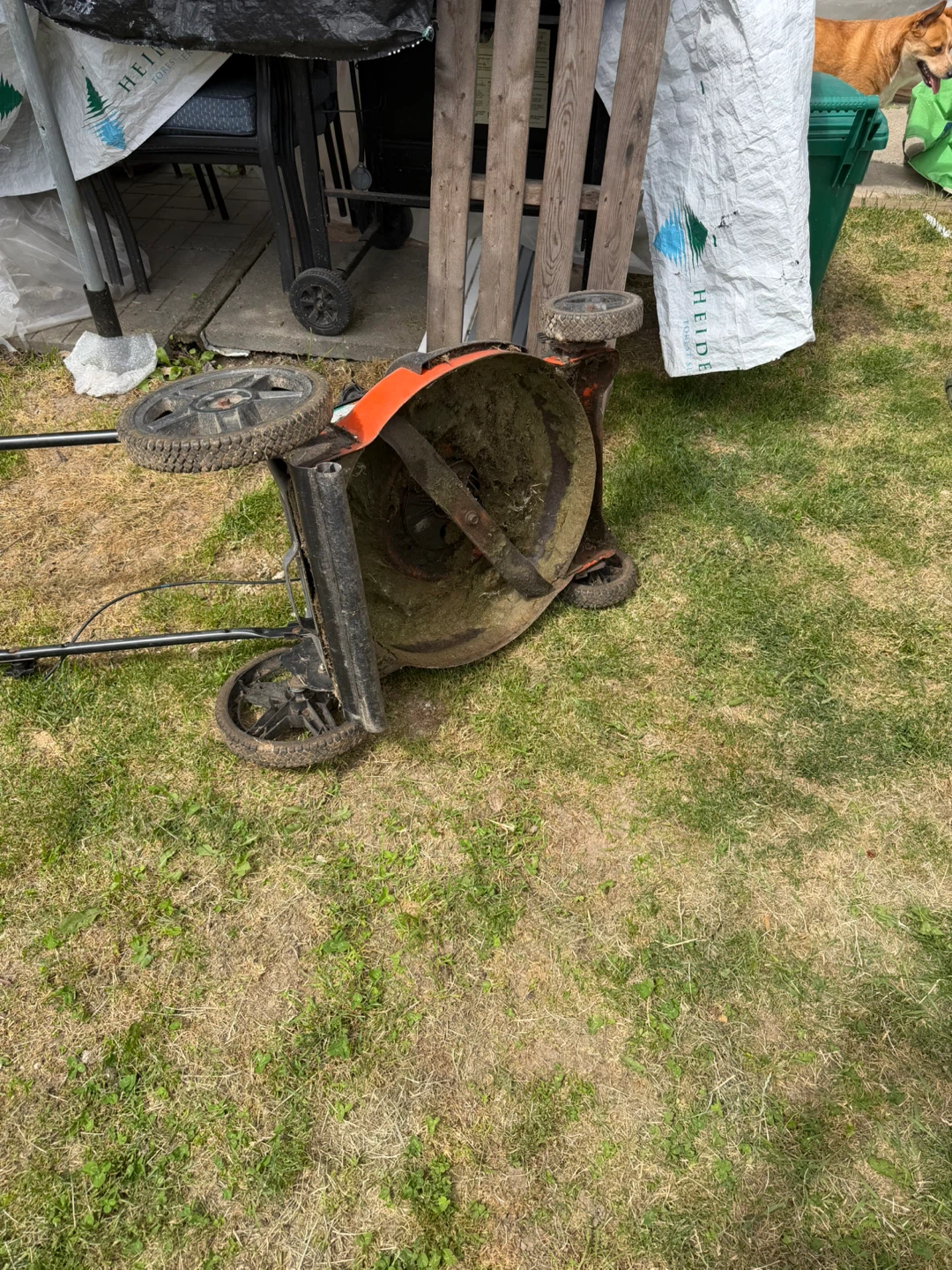 Craftsman Self-Propelled Lawn Mower - photo 3