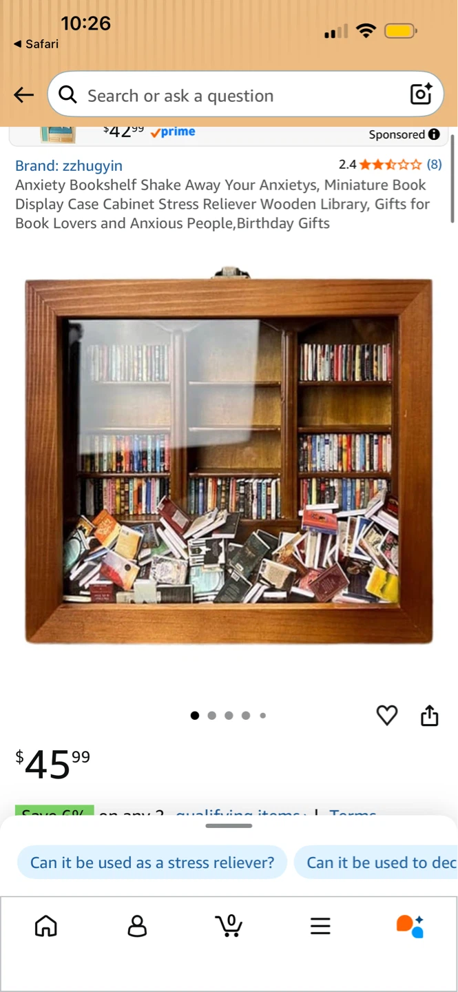 Miniature Anxiety Bookshelf Display Case