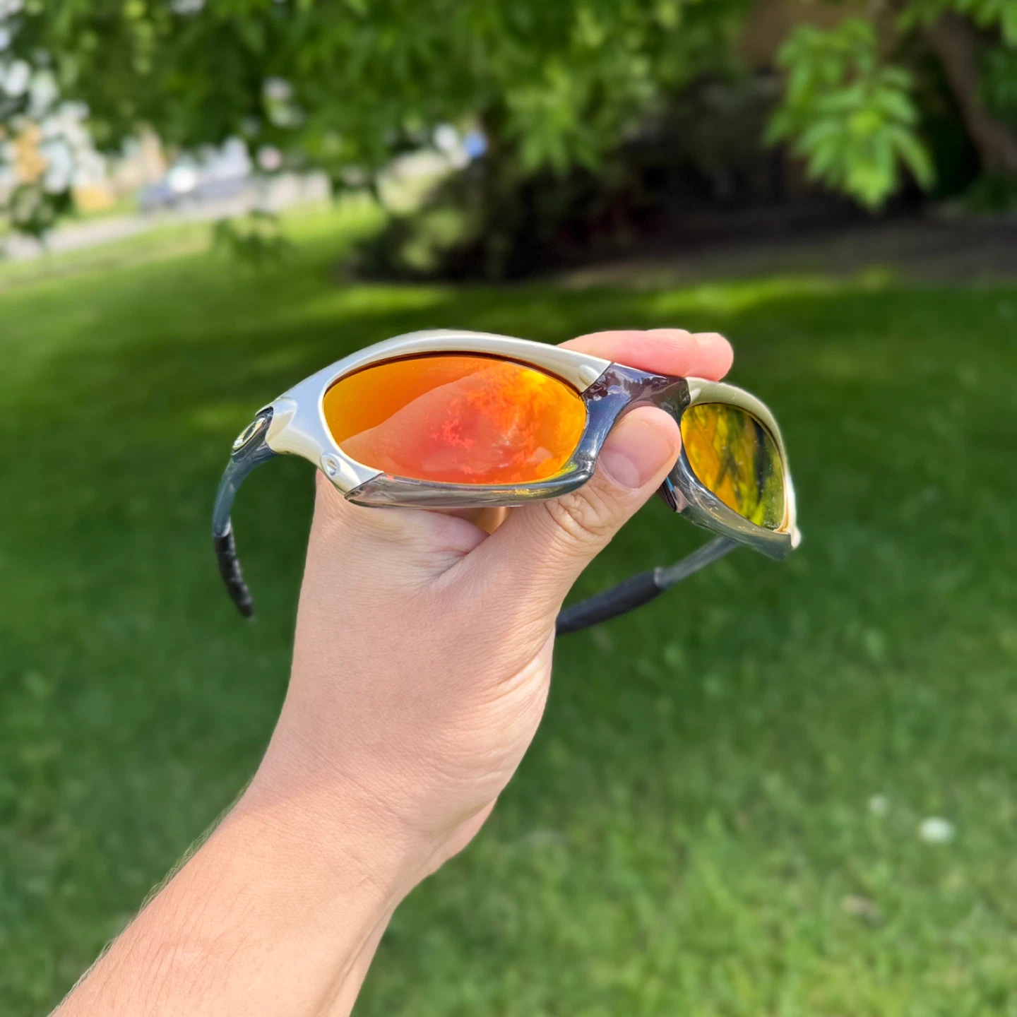Oakley Sunglasses