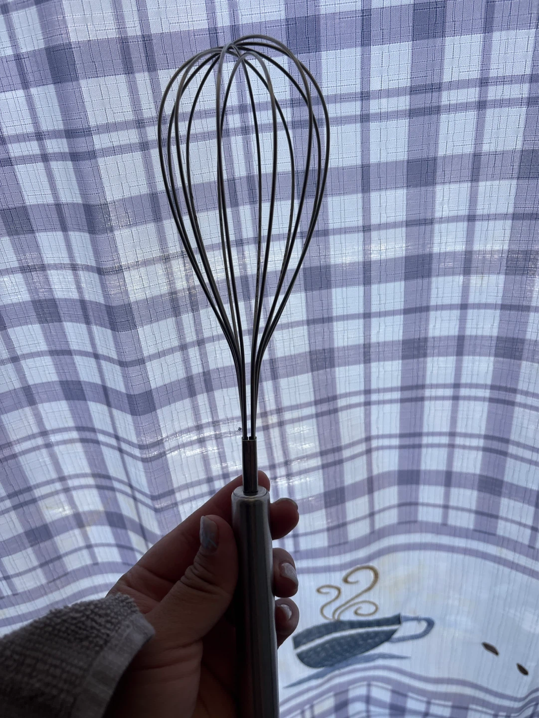 Stainless Steel Whisk