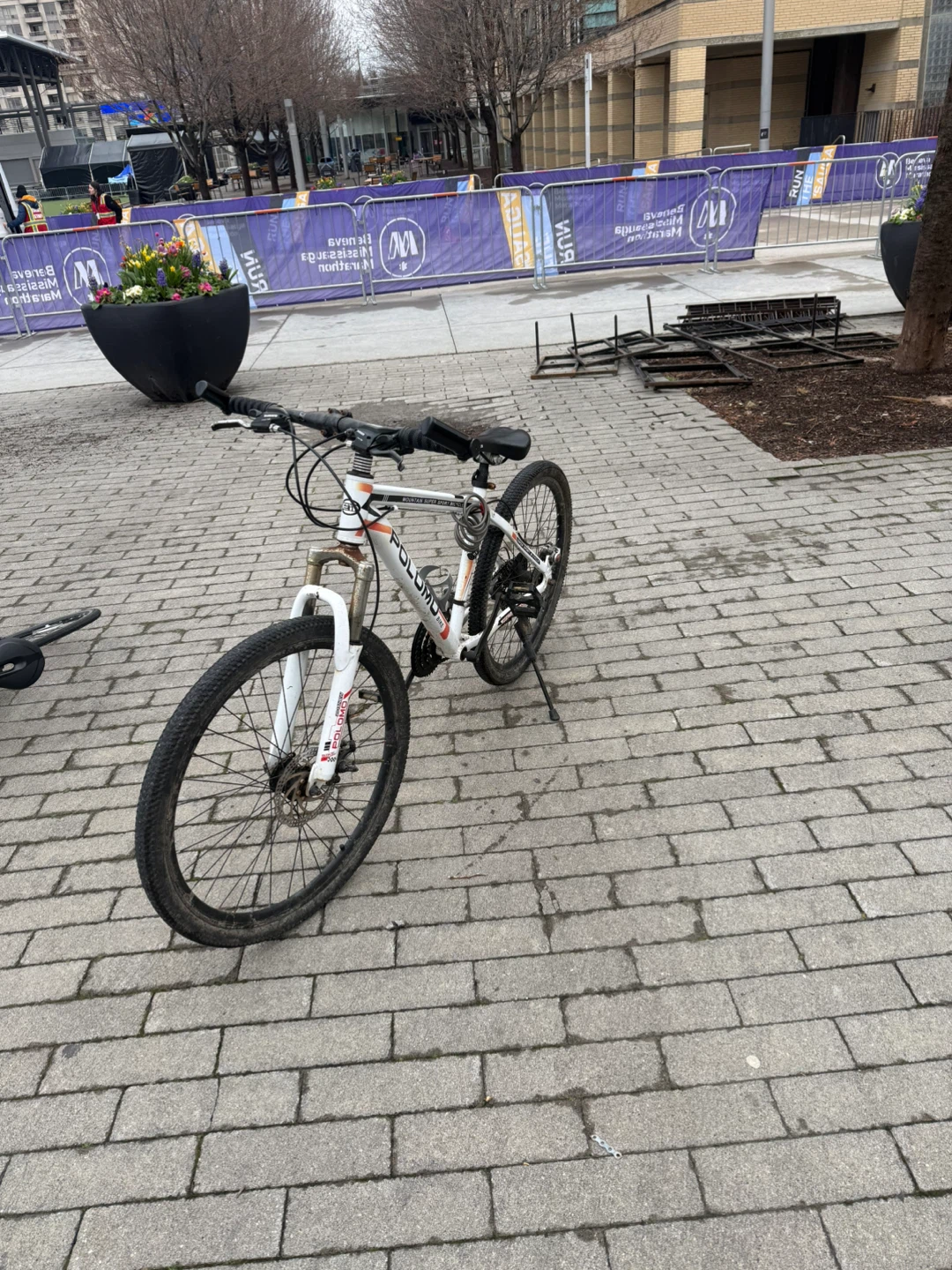 White Mountain Bike