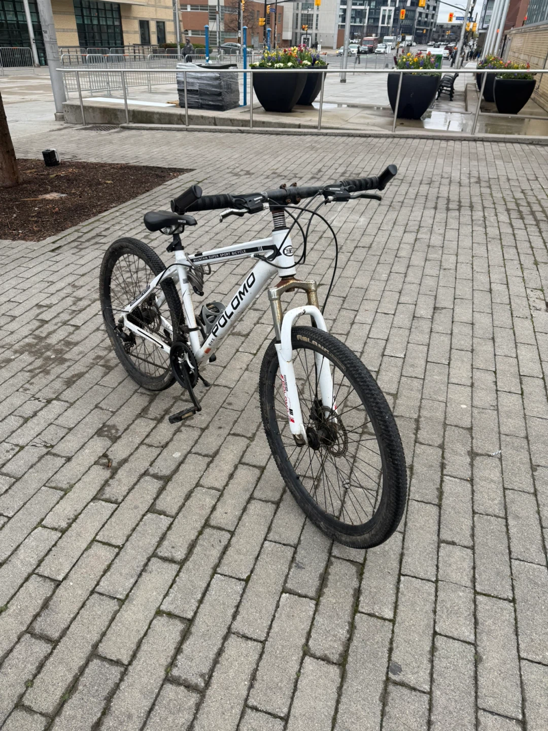White Mountain Bike - photo 2