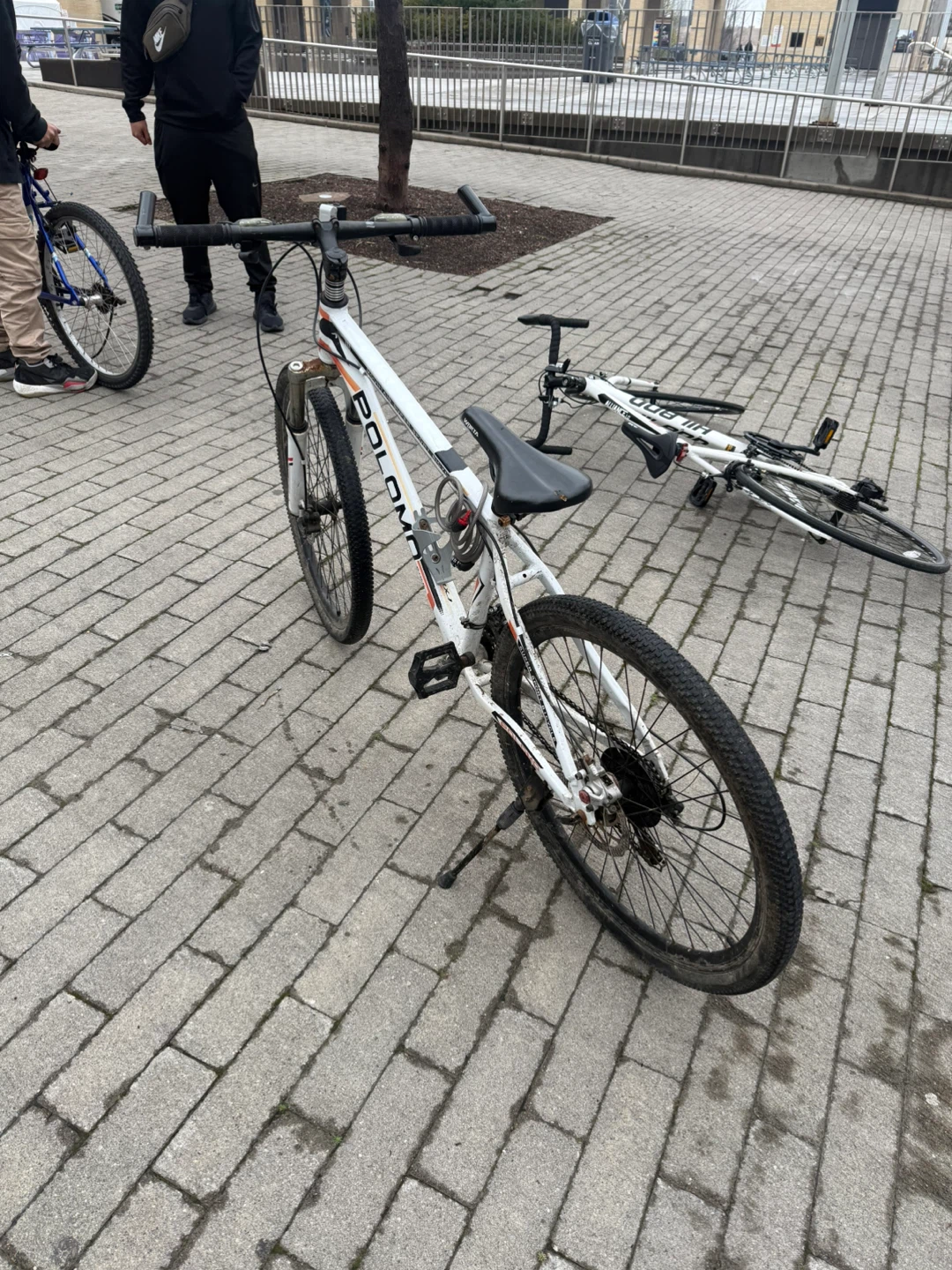 White Mountain Bike - photo 4
